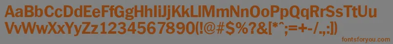 PlymouthserialXboldRegular Font – Brown Fonts on Gray Background