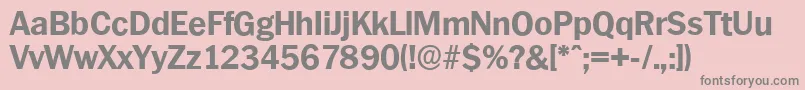 PlymouthserialXboldRegular Font – Gray Fonts on Pink Background