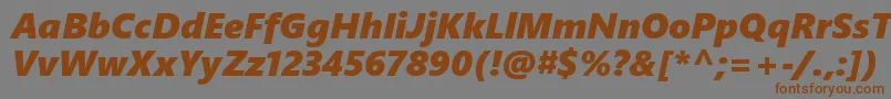 フォントSegoeUiBlackItalic – 茶色の文字が灰色の背景にあります。