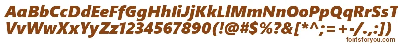 SegoeUiBlackItalic Font – Brown Fonts on White Background