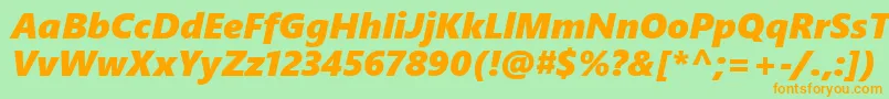 SegoeUiBlackItalic Font – Orange Fonts on Green Background