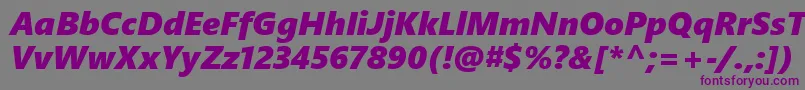 SegoeUiBlackItalic-fontti – violetit fontit harmaalla taustalla