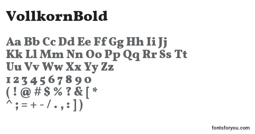 Шрифт VollkornBold – алфавит, цифры, специальные символы