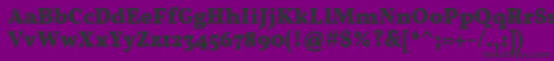 VollkornBold Font – Black Fonts on Purple Background