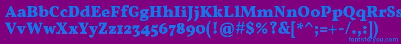 フォントVollkornBold – 紫色の背景に青い文字