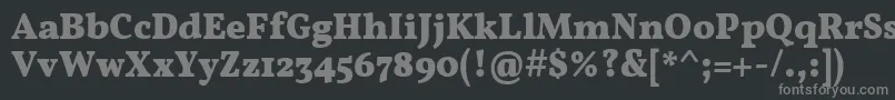 フォントVollkornBold – 黒い背景に灰色の文字