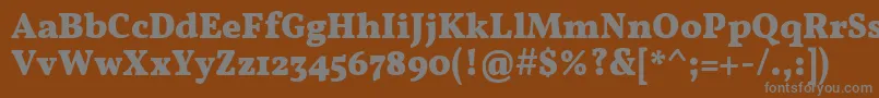 VollkornBold Font – Gray Fonts on Brown Background