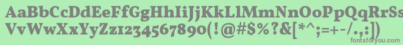 フォントVollkornBold – 緑の背景に灰色の文字