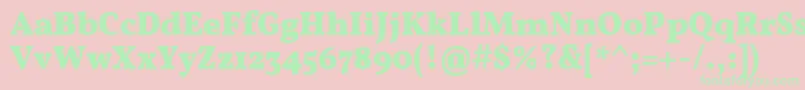 VollkornBold Font – Green Fonts on Pink Background