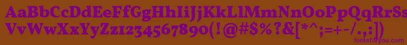 VollkornBold Font – Purple Fonts on Brown Background