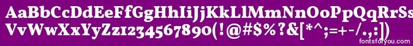 Czcionka VollkornBold – białe czcionki na fioletowym tle