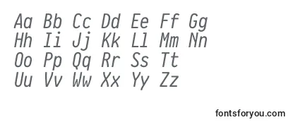 Обзор шрифта PragmataproItalic