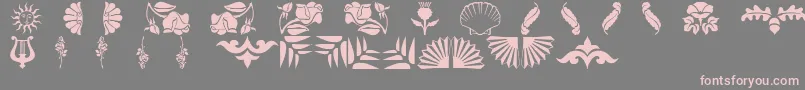 Floradings Font – Pink Fonts on Gray Background