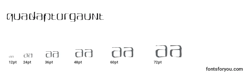 Размеры шрифта Quadaptorgaunt