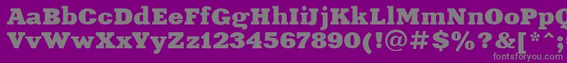 Xeniaextended-Schriftart – Graue Schriften auf violettem Hintergrund
