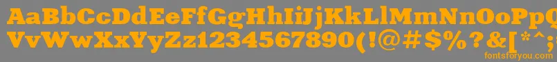 Xeniaextended-Schriftart – Orangefarbene Schriften auf grauem Hintergrund