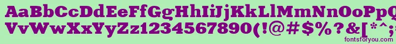 Xeniaextended Font – Purple Fonts on Green Background