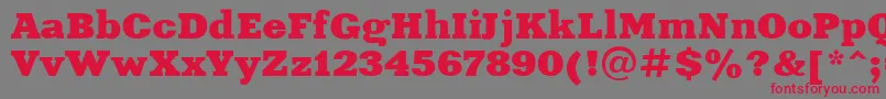 Xeniaextended Font – Red Fonts on Gray Background