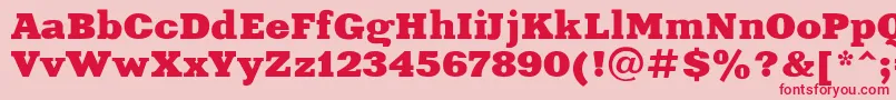 Xeniaextended Font – Red Fonts on Pink Background
