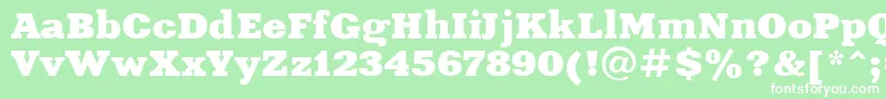 Xeniaextended Font – White Fonts on Green Background