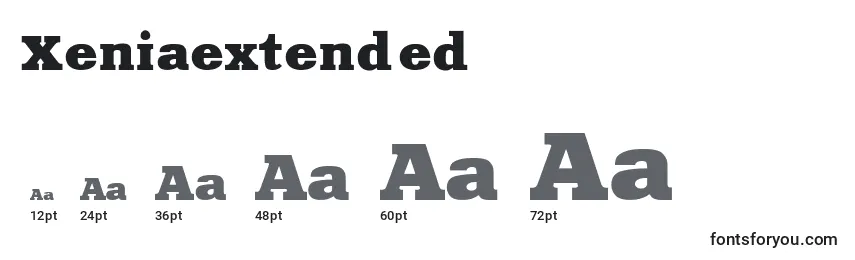 Xeniaextended Font Sizes