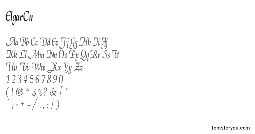 Шрифт ElgarCn – алфавит, цифры, специальные символы