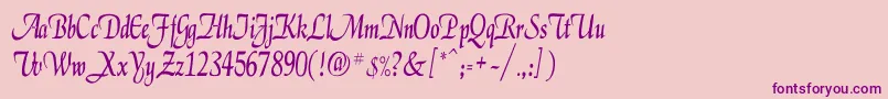 ElgarCn Font – Purple Fonts on Pink Background