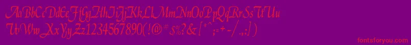 フォントElgarCn – 紫の背景に赤い文字
