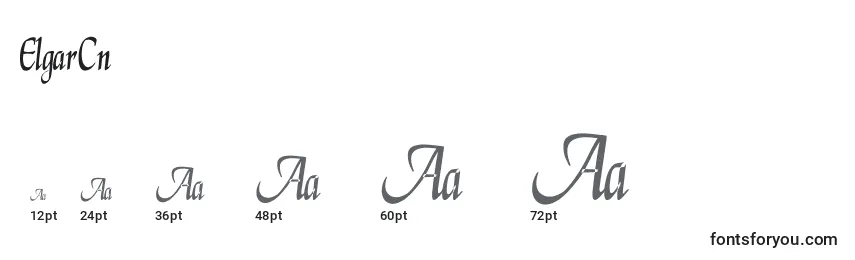 ElgarCn Font Sizes