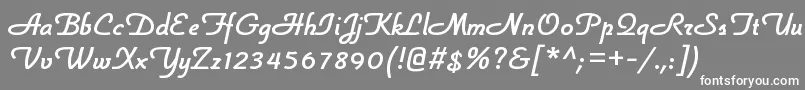 フォントLonsdaleRegular – 灰色の背景に白い文字