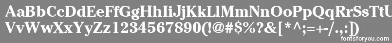 フォントItcCheltenhamLtBold – 灰色の背景に白い文字