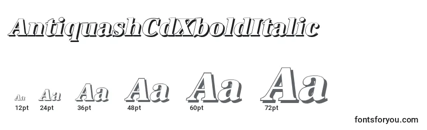 Размеры шрифта AntiquashCdXboldItalic