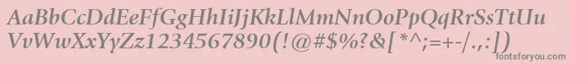 ItcGiovanniLtBoldItalic Font – Gray Fonts on Pink Background
