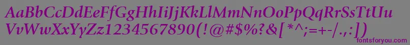 ItcGiovanniLtBoldItalic Font – Purple Fonts on Gray Background