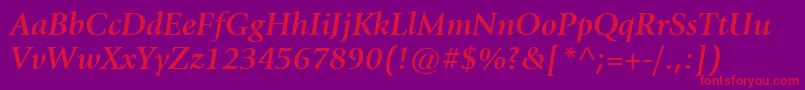Czcionka ItcGiovanniLtBoldItalic – czerwone czcionki na fioletowym tle