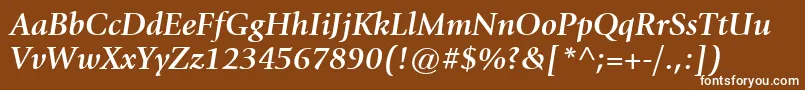 フォントItcGiovanniLtBoldItalic – 茶色の背景に白い文字