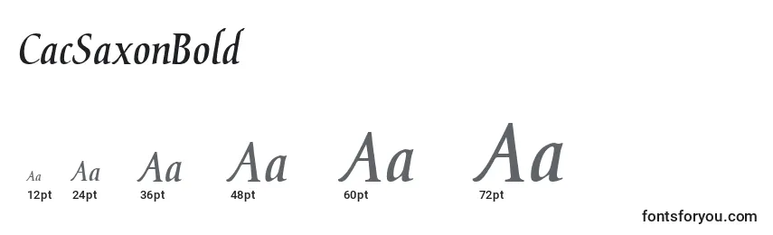 CacSaxonBold Font Sizes