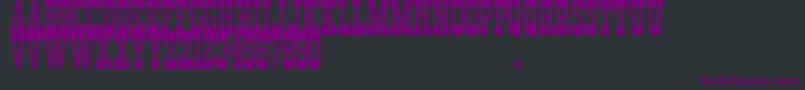 Weitere Informationen zur DurangoWesternErodedDemo-Schriftart DurangoWesternErodedDemo-Schriftart – Violette Schriften auf schwarzem Hintergrund