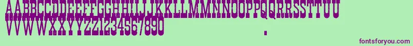 DurangoWesternErodedDemo Font – Purple Fonts on Green Background