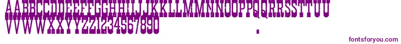 DurangoWesternErodedDemo-Schriftart – Violette Schriften
