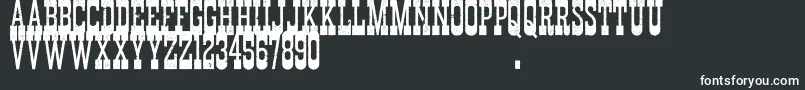 More about DurangoWesternErodedDemo Font DurangoWesternErodedDemo Font – White Fonts on Black Background