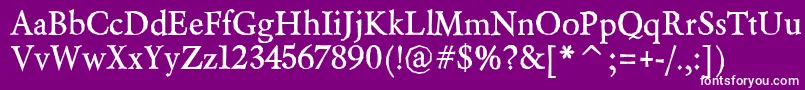 BeryliumBold Font – White Fonts on Purple Background
