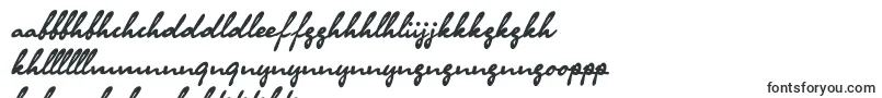 Шрифт Olga ffy – сесото шрифты