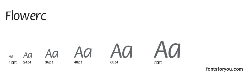 Flowerc Font Sizes