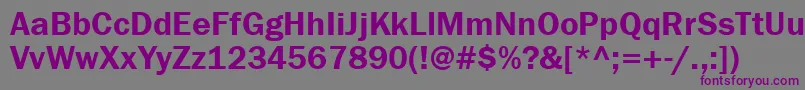 Шрифт Franklingothdemictt – фиолетовые шрифты на сером фоне