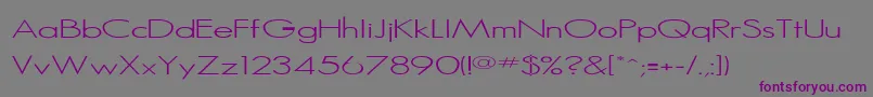 Rssansserif Font – Purple Fonts on Gray Background