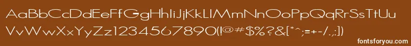 Rssansserif Font – White Fonts on Brown Background