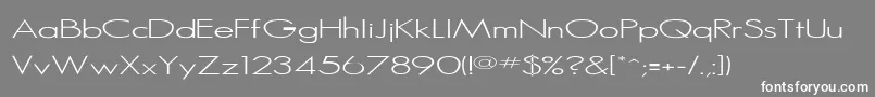 Rssansserif Font – White Fonts on Gray Background