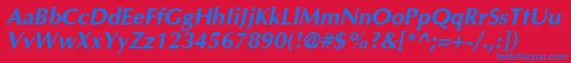 AgoptimacyrBoldoblique Font – Blue Fonts on Red Background