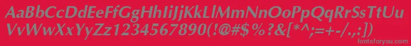 AgoptimacyrBoldoblique Font – Gray Fonts on Red Background